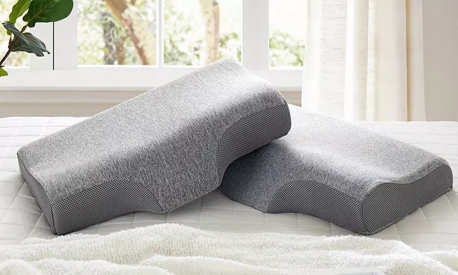 Peace Nest  2 Pack Cervical Memory Foam Contour Bed Pillows