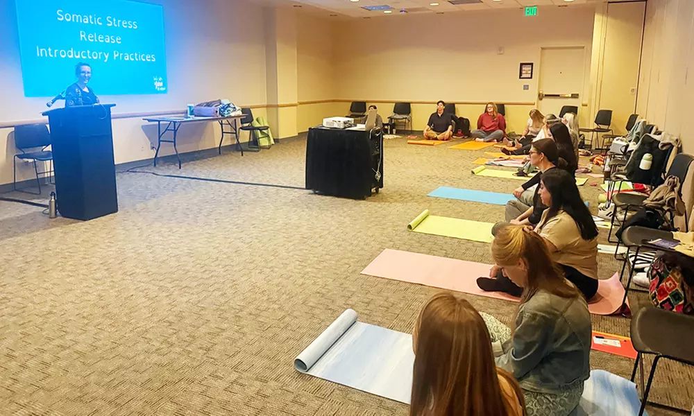 Experience Virtual 60,90- Min or One Month Somatic Stress Release Sessions (Up to 55% Off)  at Wish You Knew LLC - Primary Image