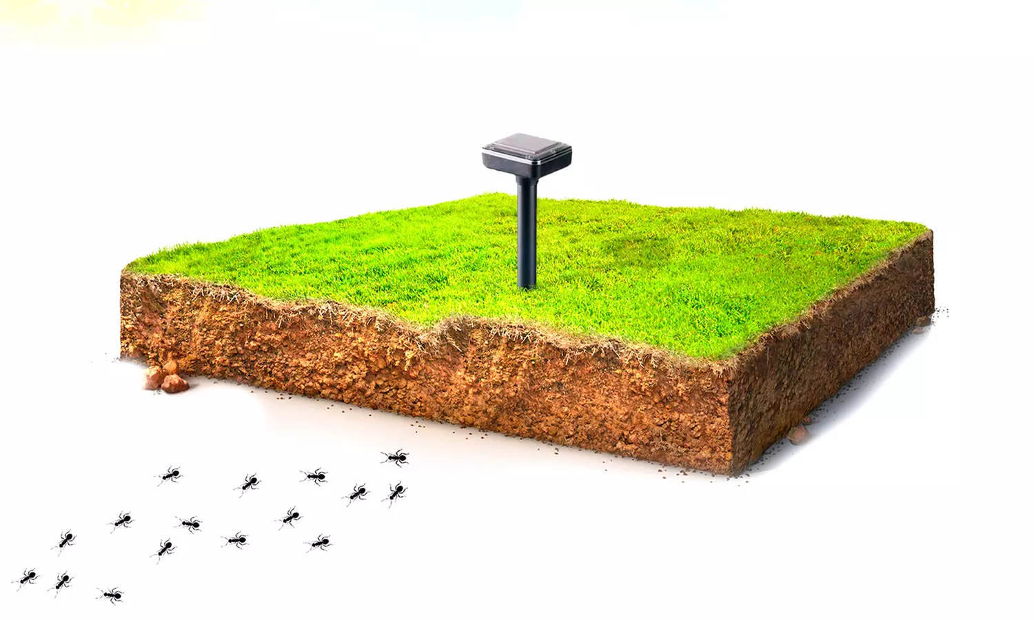 1 ou 2 répulsifs à fourmis ultrasoniques Grundig à charge solaire - Primary Image