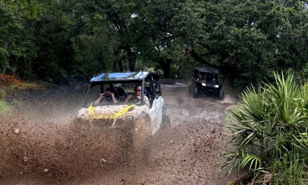 What to expect media