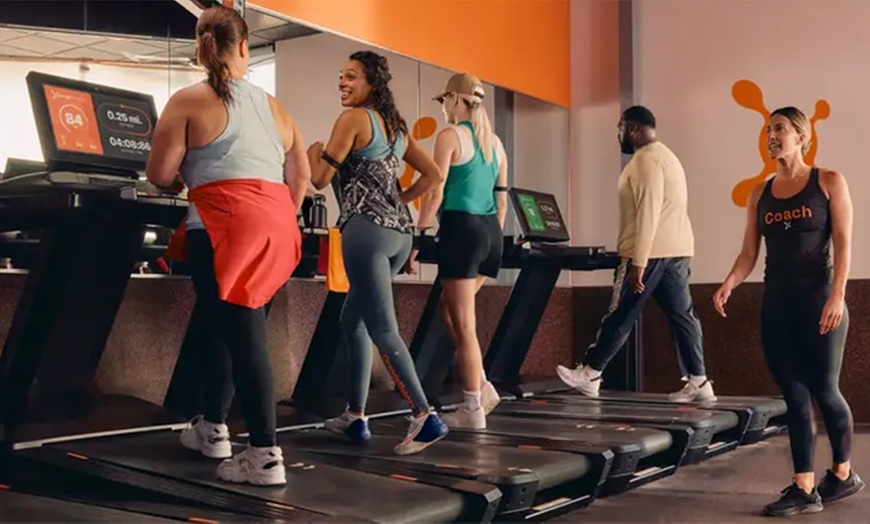 Image 2: 1 or 3 Session of HIIT + Body Scan for One or HIIT + Body Scan for Two