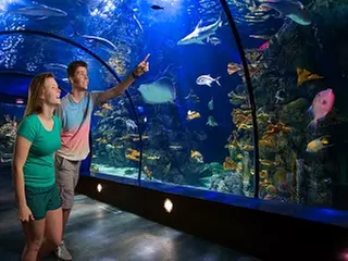 Member Pricing: Coastal Galveston Resort, includes Value Pass

