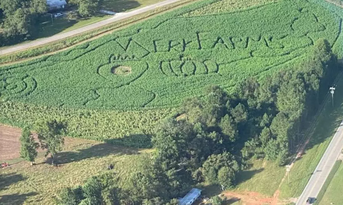 Family Fall Fun with Maze Hayrides and Pumpkin Picking for Families