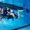 Image 3: Try Dive SCUBA Lesson for Beginners – Perfect for One or Two People