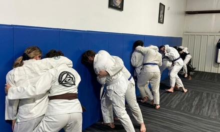 Two Weeks of Martial Arts Classes - Blue Ridge Jiu Jitsu