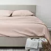 Soild Blush
