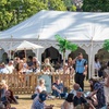Image 5: Ticket for One or Two to Sussex Gin Festival – 5 July 2025, 12 - 9 PM