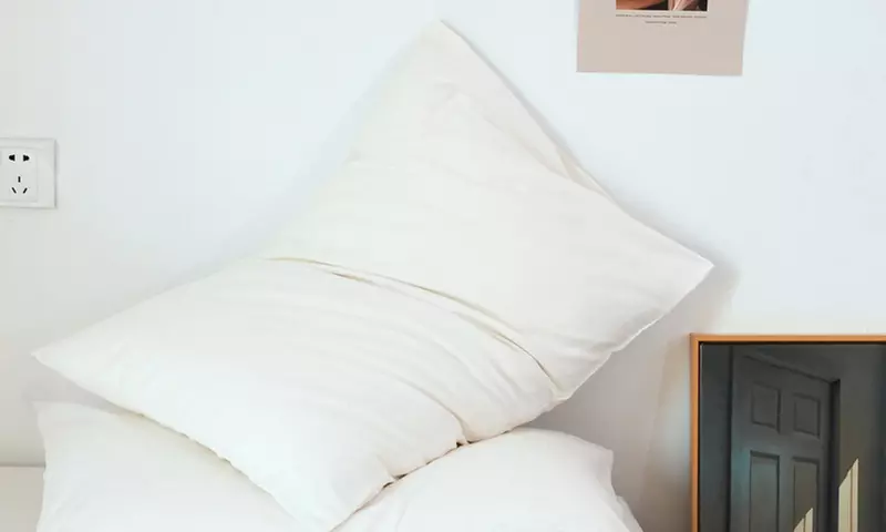 Pure Cotton 2 Piece Pillowcase Set