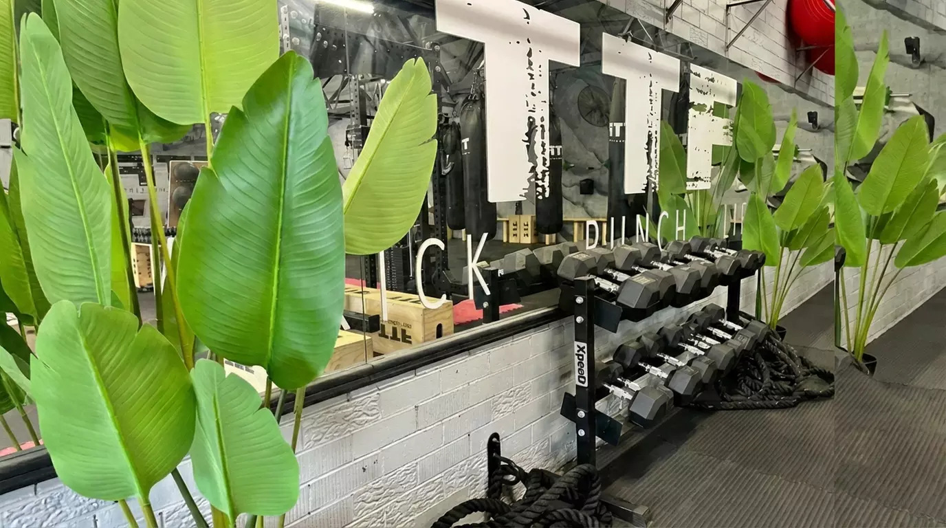 Two Weeks of Unlimited Gym Membership for One or Two People