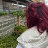 Image 3: Refreshing Haircut & Blowdry or Partial Blonde Highlight