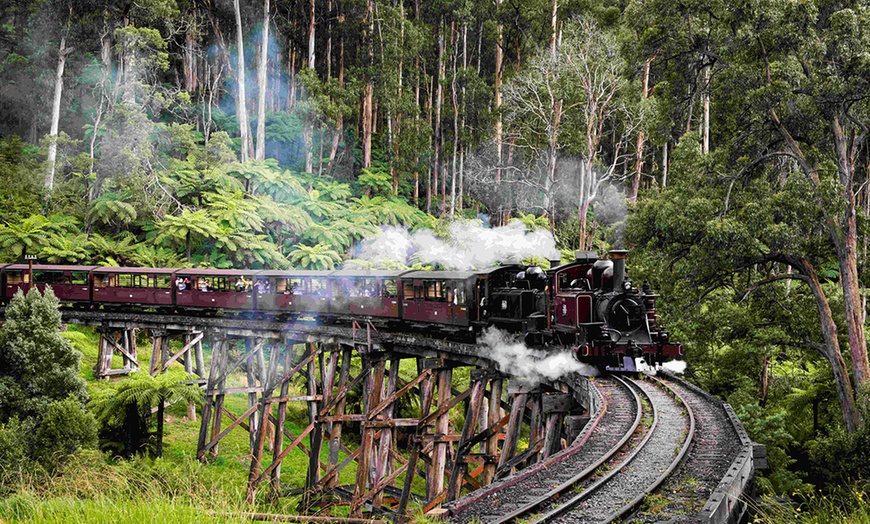 Image 3: Brighton Bathing Boxes, Puffing Billy & Phillip Island Day Tour