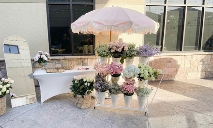  First Bloom Special - The Bloom Experience