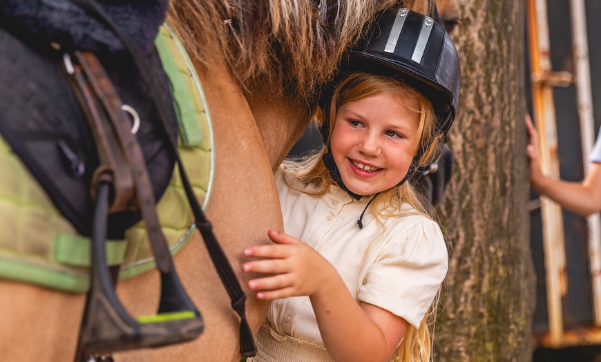 Image 20: Andijk: 3-4 Nächte in der Villa oder Villa Wellness