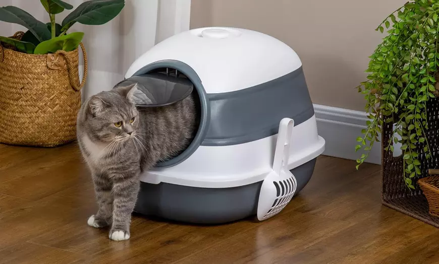 Image 1: PawHut Foldable Cat Litter Tray with Lid