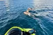 One or Two-hour Family Jet Ski Rental or Private One or Two-hour Family Jet Ski Guided Tour (Up to 20% Off) - Second Medium