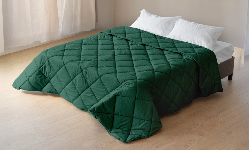 Image 5: Trapunta invernale matrimoniale in velluto