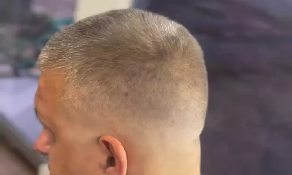 Haircut & Style, Skin Fade Cut, Long Hair Scissor Cut, Buzz Cut & More