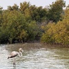 Image 8: Private Island Party with Breathtaking Skyline Views for 12 Guests!