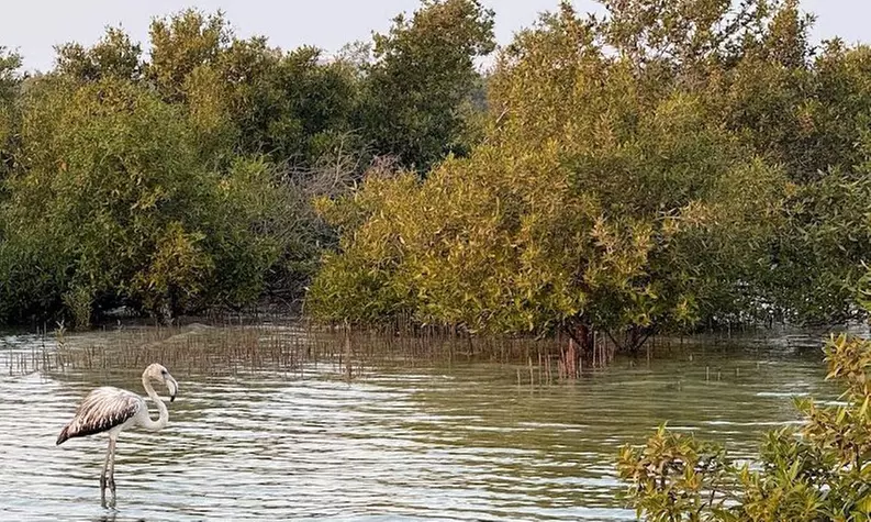 Private Island Party with Breathtaking Skyline Views for 12 Guests!