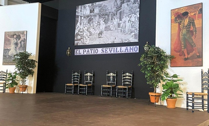 Image 4: Entrada a show de flamenco con bebida incluida para 1 o 2 personas