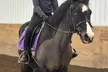 Equestrian Centre: Join 30 or 60-Min Horseback Riding Lessons (Up to 31%Off) - Second Medium