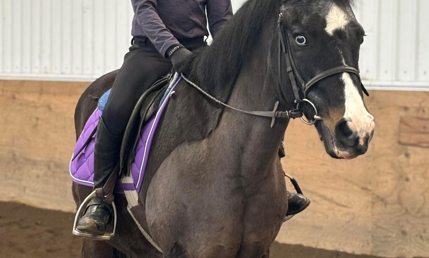 Image 4: 30 or 60-Min Horseback Riding Lessons: One or Parent/Tot – Select Days