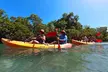 Key West Kayak Tour - Second Medium