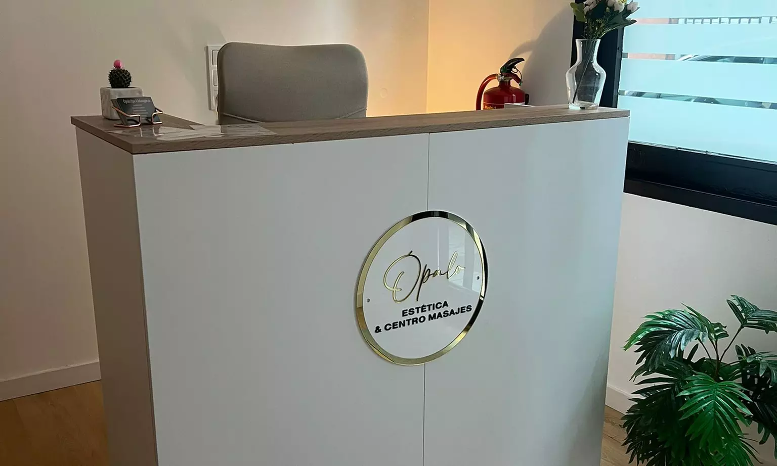 Masaje a elegir de 45 minutos con opción a reflexología y craneofacial