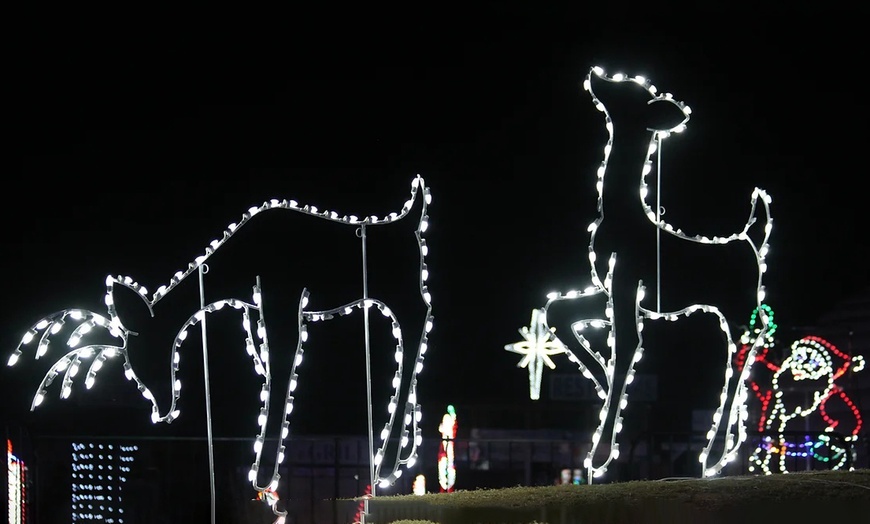 Image 2: Up to 16% Off Admission to Night Of Lights At Heritage Park 