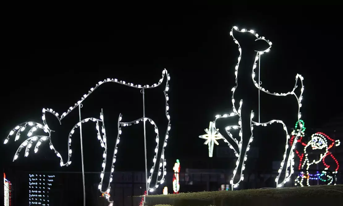 Celebrate The Holidays at the Night Of Lights At Heritage Park: Adult or Child Admission Passes (Up to 16% Off) - Primary Image
