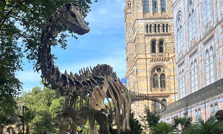 Image 11: Explore the Natural History Museum - Adult & Child Tours!