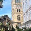 Image 11: Explore the Natural History Museum - Adult & Child Tours!