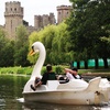 Image 9: Pedalo Hire for Up to Five People Weekdays - Valid Till Oct 3