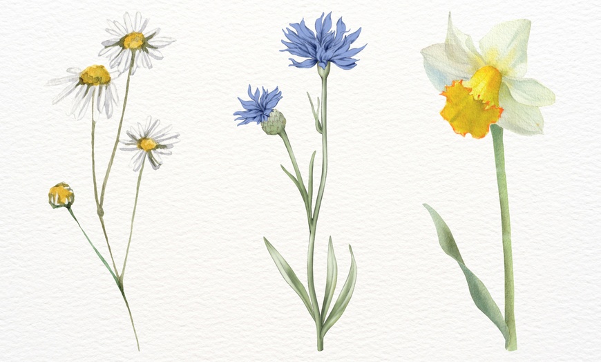 Image 3: Explore Adults Watercolour Botanicals in 4 Fun Lessons for One or Two