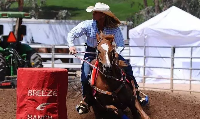 $72 for $130 Worth of Services — MW Performance Horses - Second Medium