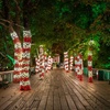 Image 4: North Pole Nights at Gilroy Gardens, Nov 28–Dec 31