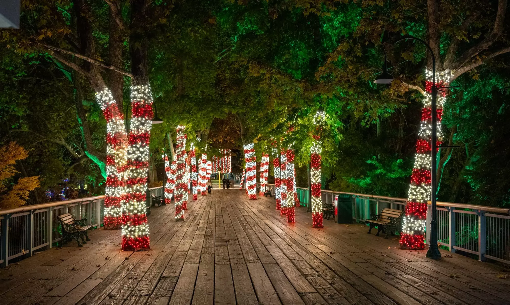 North Pole Nights at Gilroy Gardens, Nov 28–Dec 31