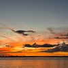 Image 4: Breathtaking Sunsets on a Wildlife Cruise through San Carlos Bay