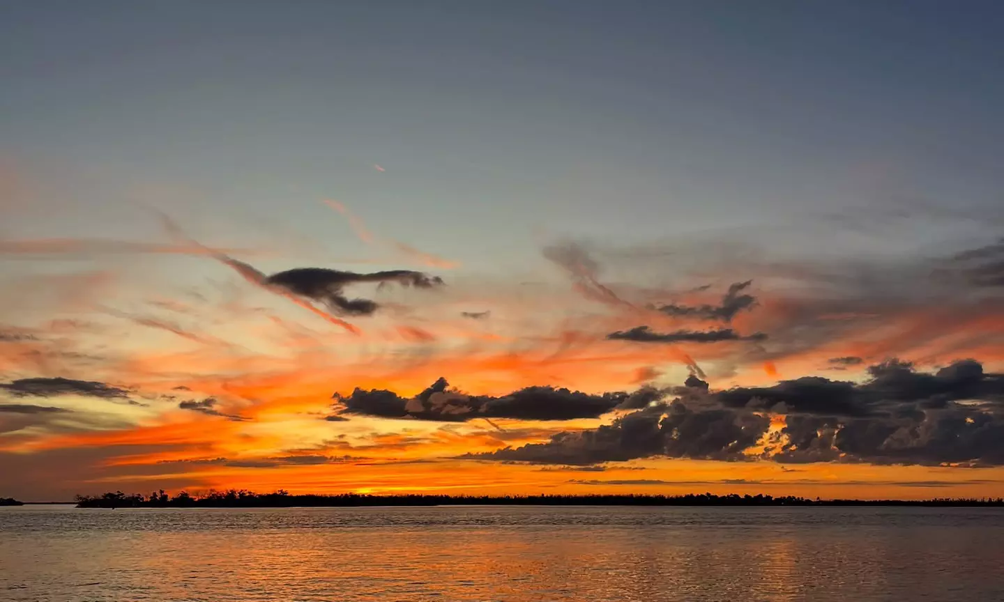 Sunset Dolphin and Wildlife Cruise: Child or Adult Ticket