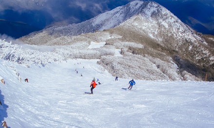 Day Scenic Snow Trip + Return Coach from Melbourne - Child (4-16) - Bus and Coach Charter Pty Ltd