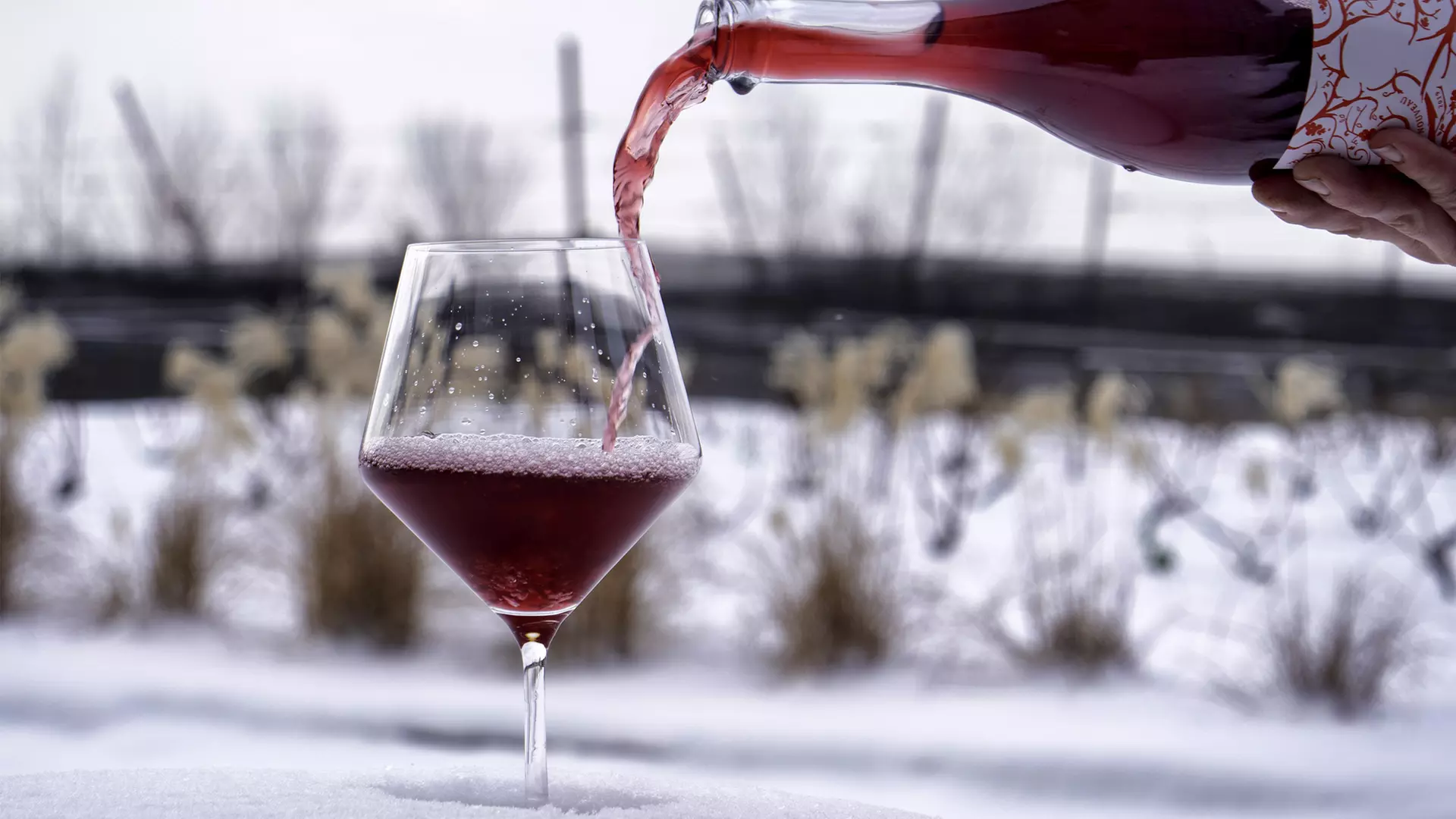 Full-Day Winter Wine Tour for One, Two, or Four People on 40% at Niagara Fun Tours  - Primary Image