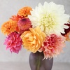 Image 4: Wedding Florals with Wild Flower or Semi-Custom Wedding Bouquet