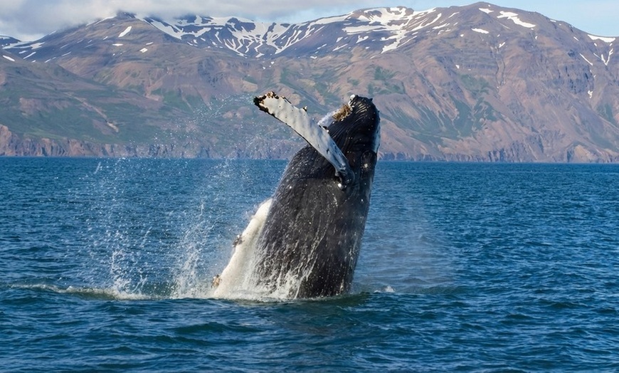 Image 4: ✈ 5-Day Iceland Vacation with Air