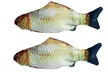 Electric Moving Fish Cat Toy Realistic Flopping Wagging Fish Cat Toy - Second Medium