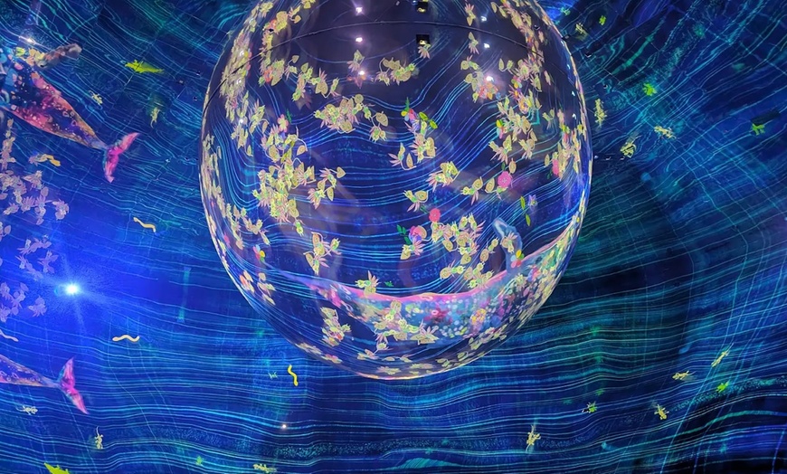 Image 4: Explore TeamLab Phenomena General Admission for Adults and Youths