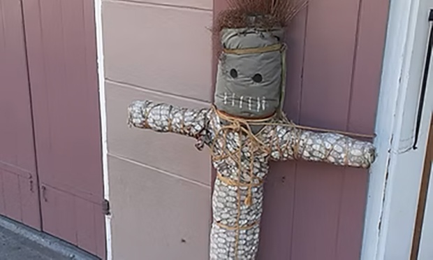 What to expect media