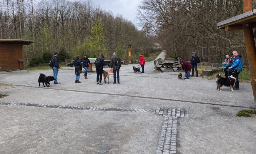 Image 2: 1 / 3 Einheiten: 60 min. Hundeschule-Gruppentraining & Grunderziehung