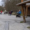 Image 2: 1 / 3 Einheiten: 60 min. Hundeschule-Gruppentraining & Grunderziehung