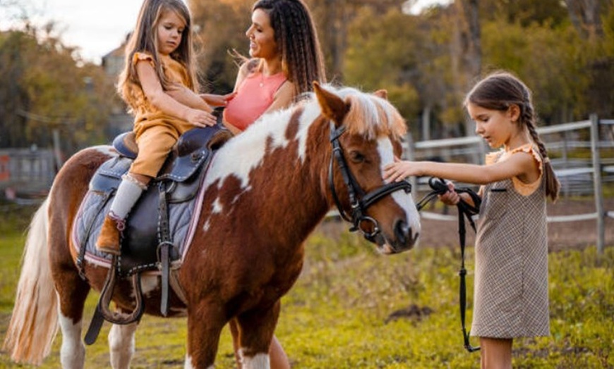 Image 8: Paseo en poni para niños con La Finca Pony Club