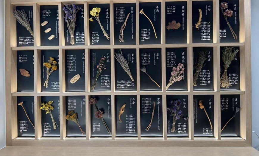 Image 5: Deep Scalp Cleansing – Hydra-Treatment or Hair Soothing (75 Min)
